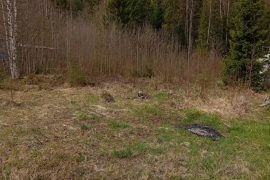 Участок 10 сот. (СНТ, ДНП)