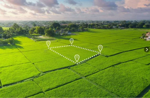 Земельный участок